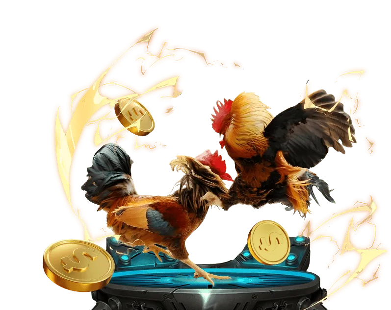 Hình ảnh giới thiệu về nn88win - Nền tảng cá cược trực tuyến hàng đầu